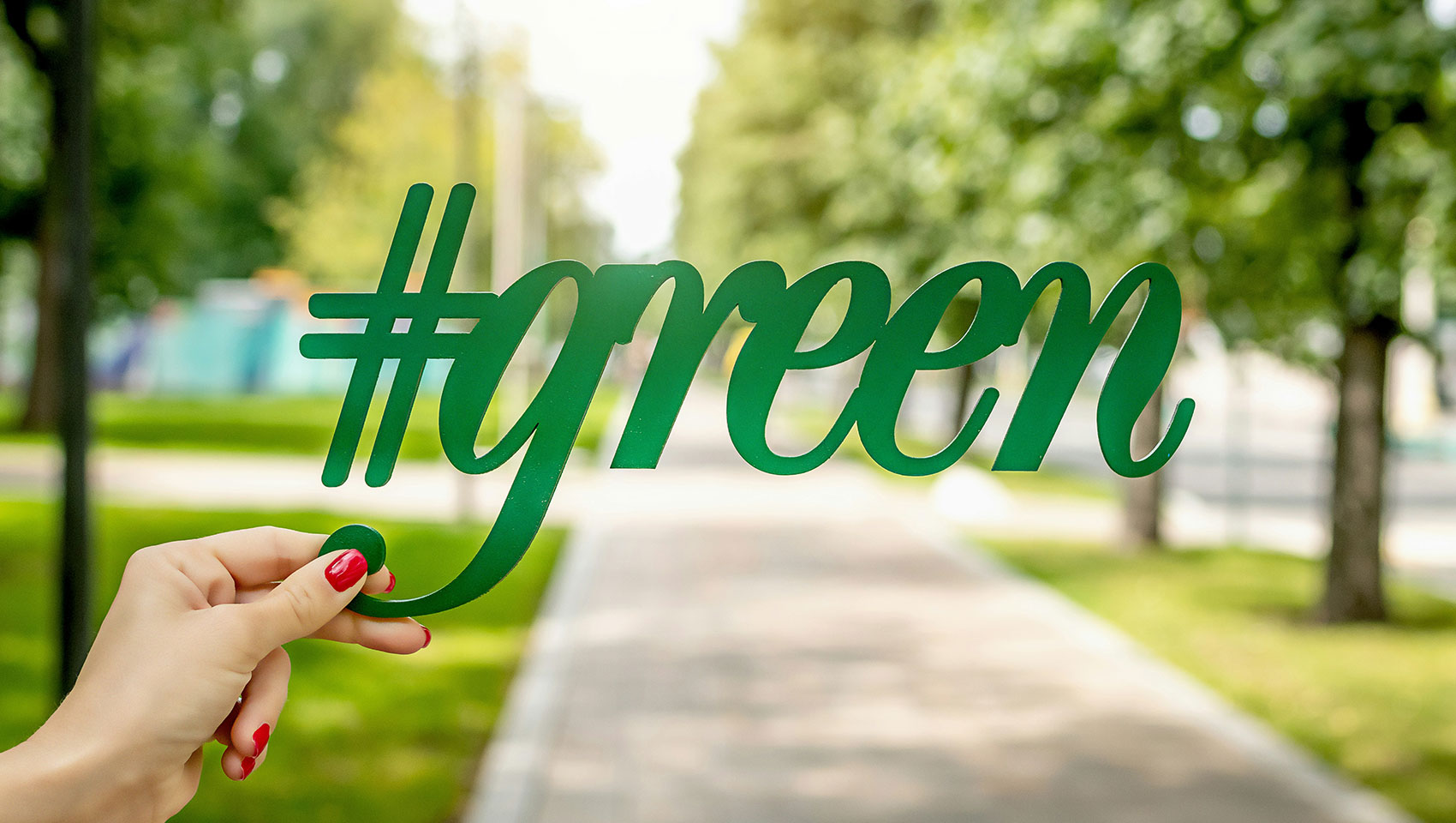 Hand Holding Green Sign