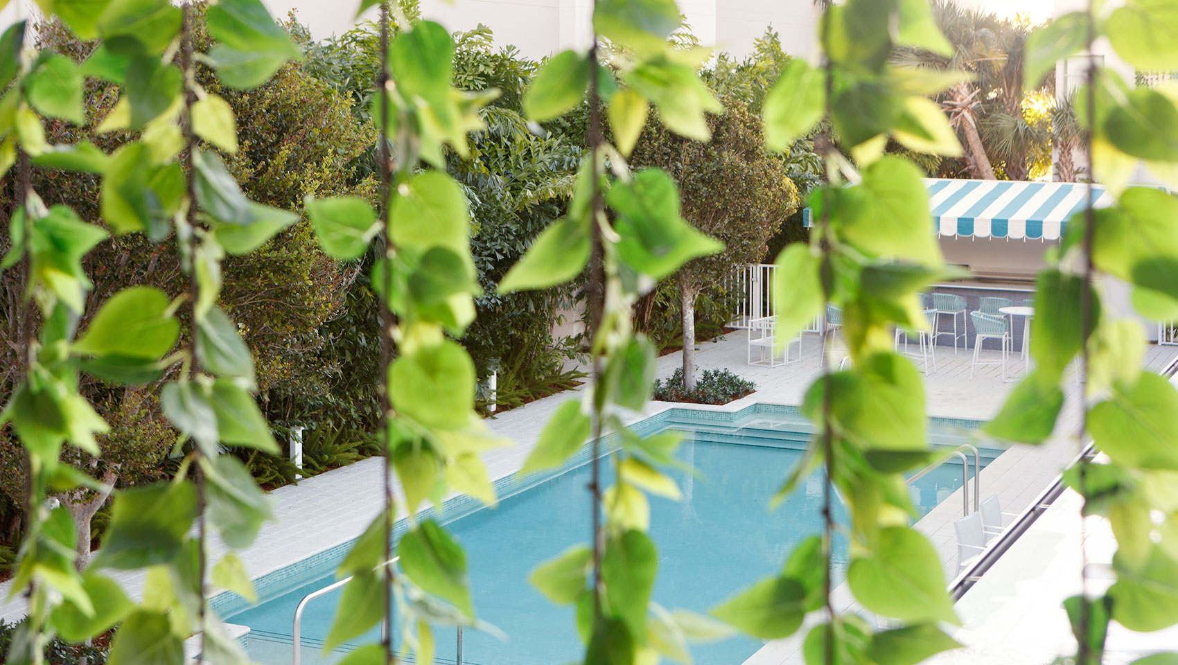 rooftop pool terrace